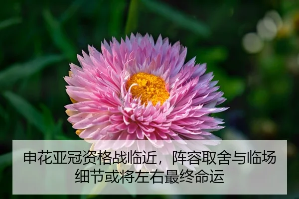 shen-hua-ya-guan-zi-ge-zhan-lin-jin-zhen-rong-qu-she-yu-lin-chang-xi-jie-huo-jiang-zuo-you-zui-zhong-ming-yun-2-941.jpg
