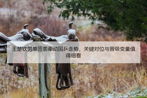 王楚钦男单签表牵动国乒走势，关键对位与晋级变量值得细看